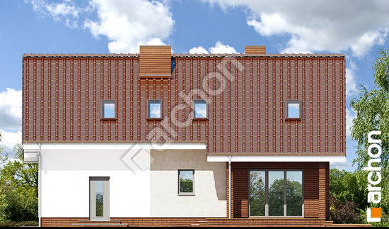 Дворовой фасад Дом в журавках (Г2Т)