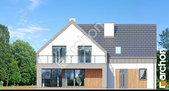 Дворовий фасад Будинок в орлішках (Г2Н)