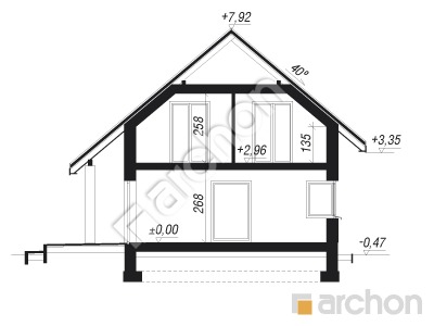 Проект дома ARCHON+ Дом в яблонках 9  Розріз будинку