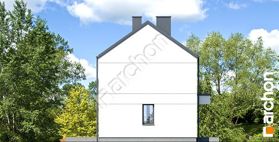 Бочний фасад Будинок в іберійках 3