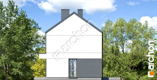 Боковой фасад Дом в иберисах 3