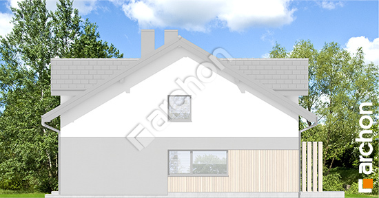 Бочний фасад Будинок в катанахнах (ГБ)