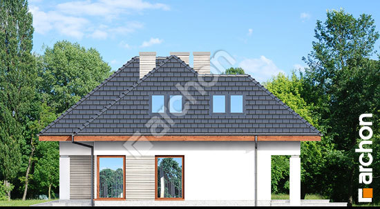 Бочний фасад Будинок в каттлеях