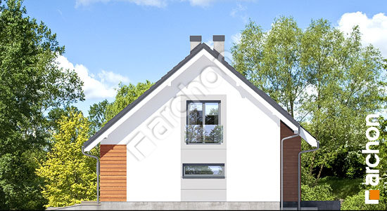 Боковой фасад Дом в герминии 3 (П)