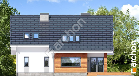 Дворовий фасад Будинок в герміні 3 (П)