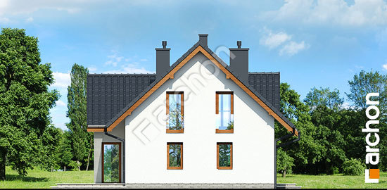 Бочний фасад Будинок в мелісі вер.2