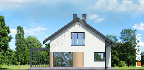 Боковой фасад Дом под липкой 2 (П) вер. 2