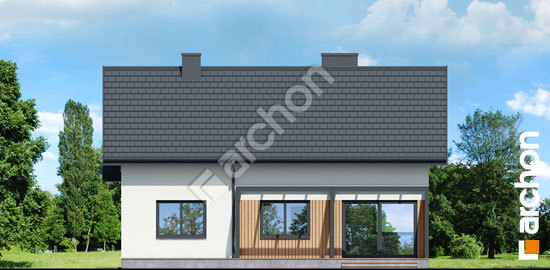 Дворовой фасад Дом под липкой 2 (П) вер. 2