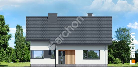 Передний фасад Дом под липкой 2 (П) вер. 2