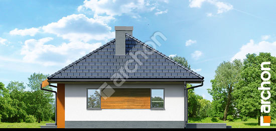 Бочний фасад Будинок в маївках вер. 2