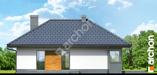 Дворовий фасад Будинок в маївках вер. 2