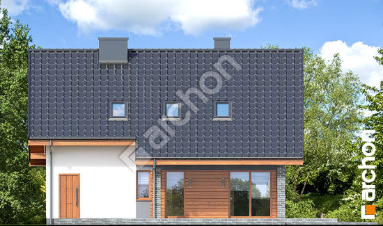 Дворовий фасад Будинок в журавках 7 (Т)