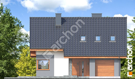 Передній фасад Будинок в журавках 7 (Т)