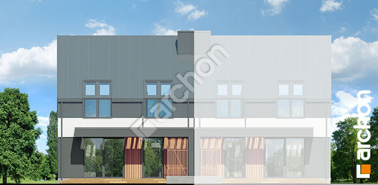 Дворовий фасад Будинок в нарцисах 2 (Б)