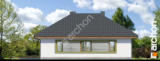 Дворовой фасад Дом в дикоросах 2 вер.2