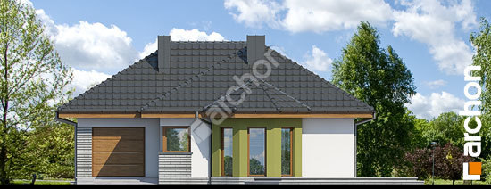 Передний фасад Дом в дикоросах 2 вер.2