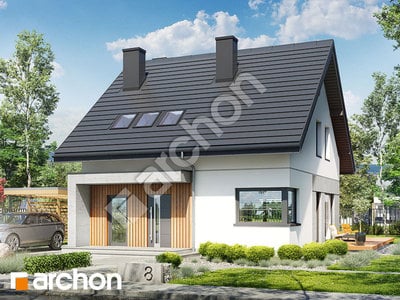 Проєкт будинку ARCHON+ Будинок в кринках 