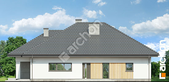 Бочний фасад Будинок в бузку 8 (Г)