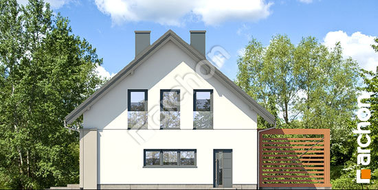 Бочний фасад Будинок у гвоздиках 3