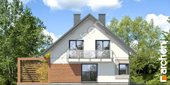 Боковой фасад Дом в гвоздиках 3