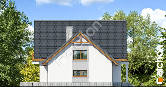 Бочний фасад Будинок в абрикосах 2 (Г2)