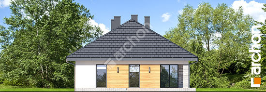 Бочний фасад Будинок в андромедах 4