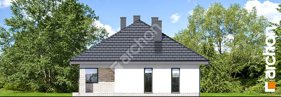 Боковой фасад Дом в андромедах 4