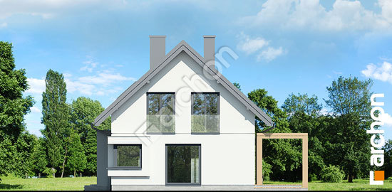 Бочний фасад Будинок в хлорофітумі 19 (Г2П)