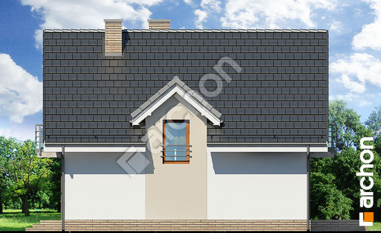 Боковой фасад Дом в рододендронах 5 (ВНТ)