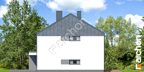 Боковой фасад Дом в нарциссах 5 (Б)