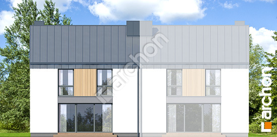 Дворовий фасад Будинок в нарцисах 5 (Б)