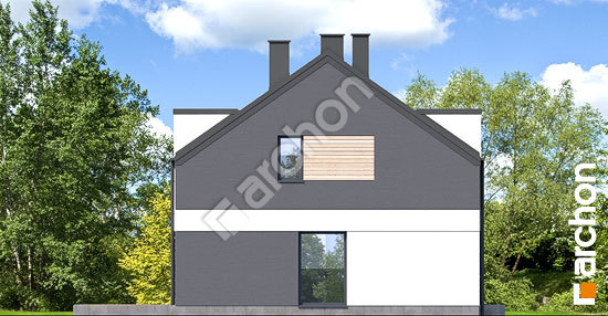 Бочний фасад Будинок в полині 5 (Б)