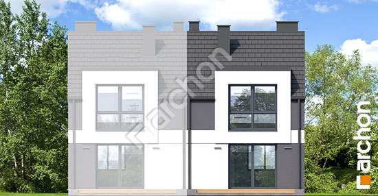 Дворовой фасад Дом в полыне 5 (Б)