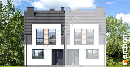 Передний фасад Дом в полыне 5 (Б)