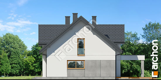 Бочний фасад Будинок в комміфорах 12