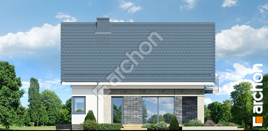 Бочний фасад Будинок в орлішках (П)