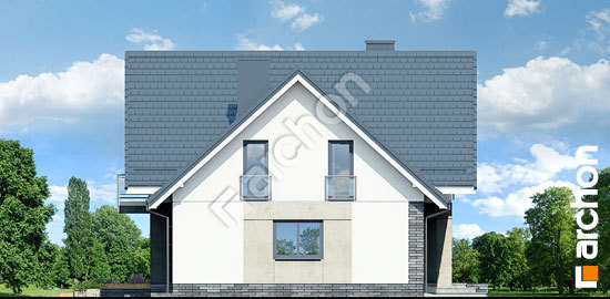 Бочний фасад Будинок в орлішках (П)