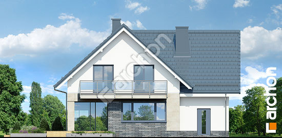 Дворовий фасад Будинок в орлішках (П)