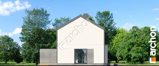 Бочний фасад Будинок в самшиті 2 (ГБ)