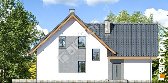 Дворовой фасад Дом на поляне 3 (П)