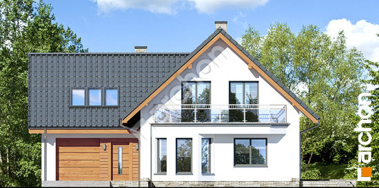 Передний фасад Дом на поляне 3 (П)