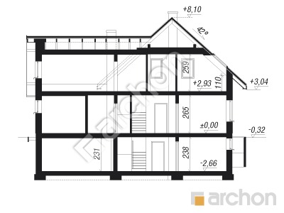 Проект дома ARCHON+ Дом на поляне 3 (П) Розріз будинку