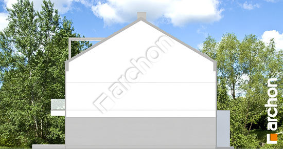 Бочний фасад Будинок в халезіях 10 (Р2Б)