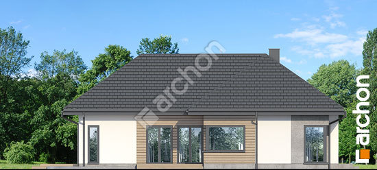 Боковой фасад Дом в галах 8 (Е)