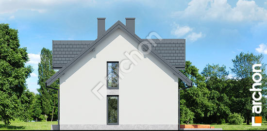 Бочний фасад Будинок в сріблянках 3