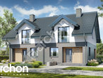 Проект будинку ARCHON+ Будинок в клематисах 2 (Б) візуалізація усіх сегментів