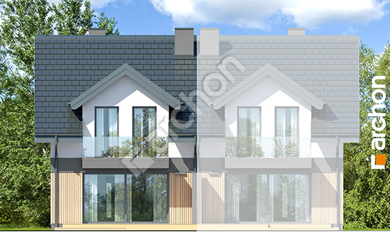 Дворовий фасад Будинок в клематисах 2 (Б)