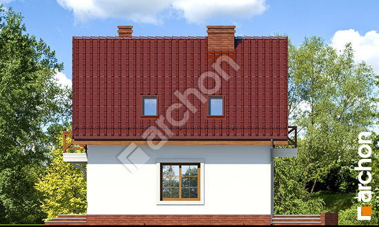 Бочний фасад Будинок в рододендронах 11 (П)