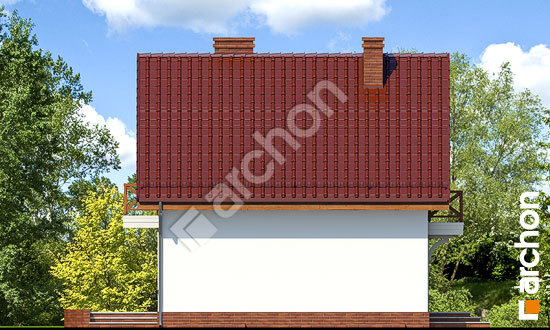 Боковой фасад Дом в рододендронах 11 (П)