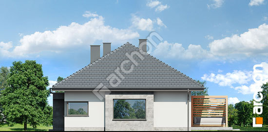 Бочний фасад Будинок під гінко 19